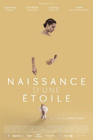 Naissance d'une Étoile (2017) - poster