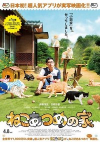 Neko Atsume no Ie (2017) - poster