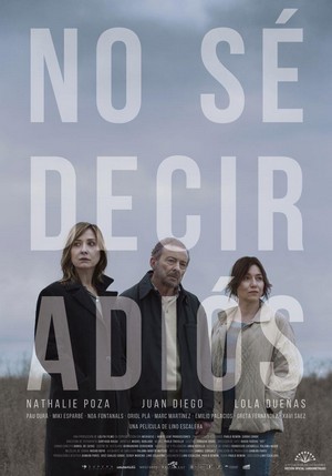 No Sé Decir Adiós (2017) - poster
