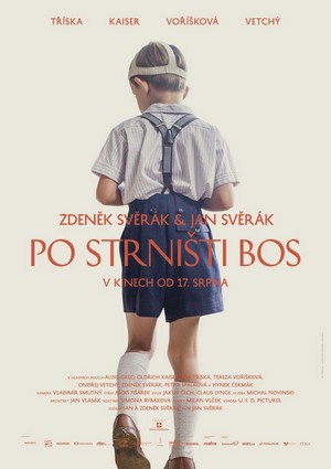 Po Strnisti Bos (2017) - poster