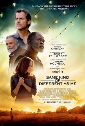 Same Kind of Different as Me (2017) - poster