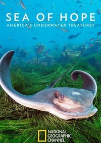 Sea of Hope: America's Underwater Treasures (2017) - poster