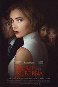 Secrets in Suburbia (2017) - poster