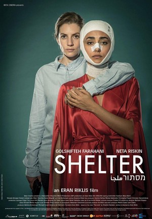 Shelter (2017) - poster