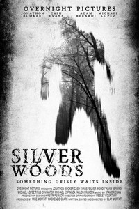 Silver Woods (2017) - poster