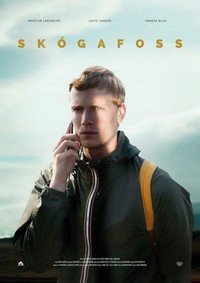 Skógafoss (2017) - poster