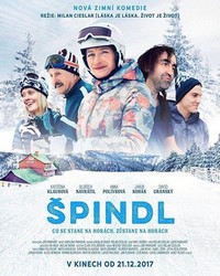 Spindl (2017) - poster