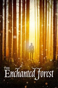 The Enchanted Forest (2017) - poster