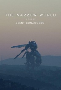 The Narrow World (2017) - poster