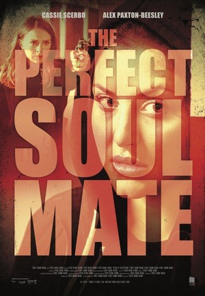 The Perfect Soulmate (2017) - poster