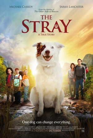 The Stray (2017) - poster