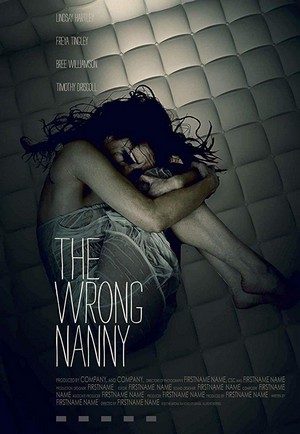 The Wrong Nanny (2017) - poster