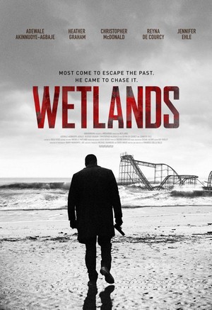 Wetlands (2017) - poster