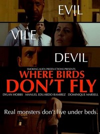 Where Birds Don't Fly (2017) - poster