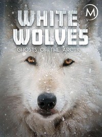 White Wolves: Ghosts of the Arctic (2017) - poster