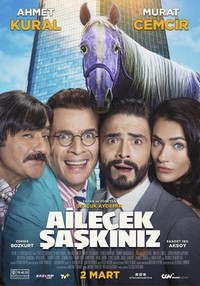 Ailecek Saskiniz (2018) - poster