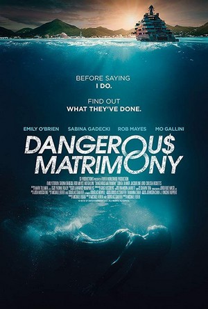 Dangerous Matrimony (2018) - poster