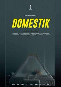 Domestik (2018) - poster