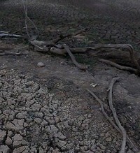 Geef Ons Dagelijks Water (2018) - poster