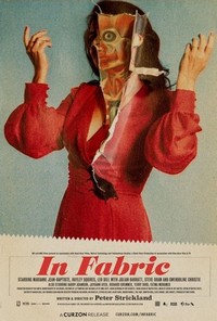 In Fabric (2018) - poster