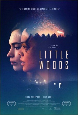 Little Woods (2018) - poster