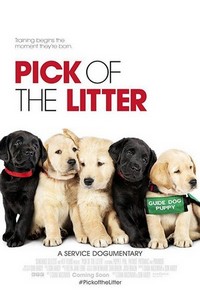 Pick of the Litter (2018) - poster