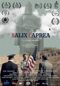 Salix Caprea (2018) - poster