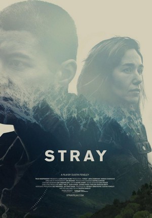 Stray (2018) - poster