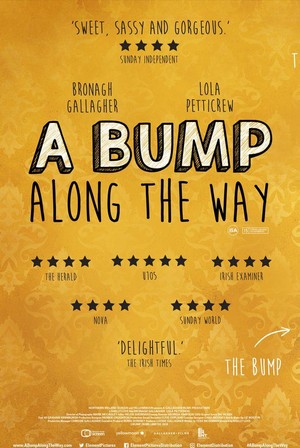 A Bump along the Way (2019) - poster