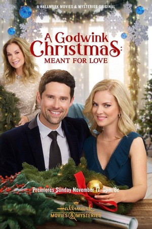 A Godwink Christmas: Meant for Love (2019) - poster