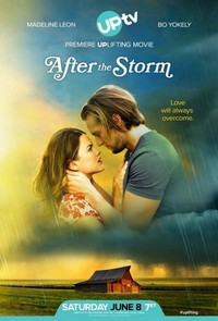 After the Storm (2019) - poster