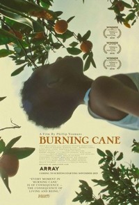 Burning Cane (2019) - poster