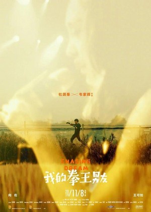 Chihuo Quan Wang (2019) - poster