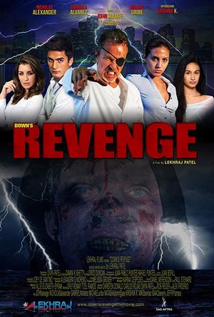 Down's Revenge (2019) - poster
