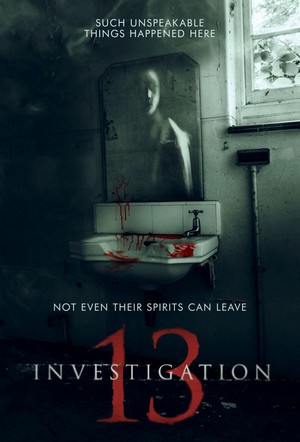 Investigation 13 (2019) - poster