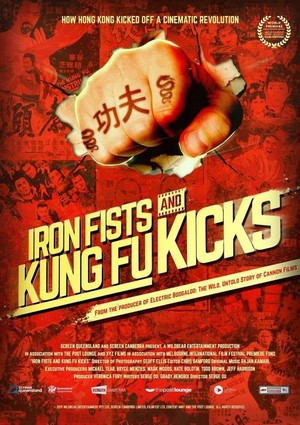 Iron Fists and Kung Fu Kicks (2019) - poster