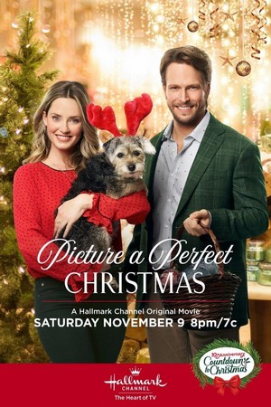 Picture a Perfect Christmas (2019) - poster
