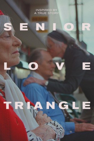 Senior Love Triangle (2019) - poster