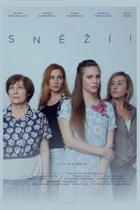 Snezi! (2019) - poster