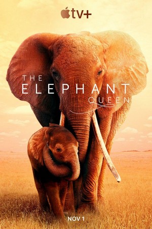 The Elephant Queen (2019) - poster
