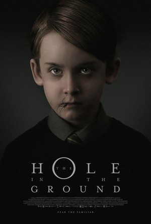 The Hole in the Ground (2019) - poster