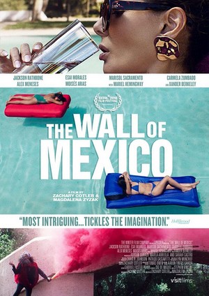 The Wall of Mexico (2019) - poster