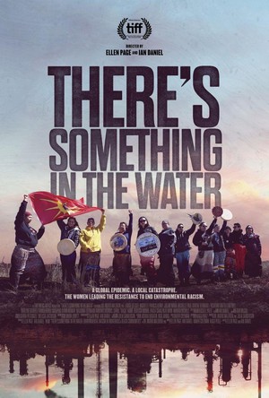 There's Something in the Water (2019) - poster