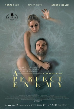 A Perfect Enemy (2020) - poster