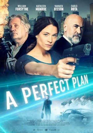 A Perfect Plan (2020) - poster