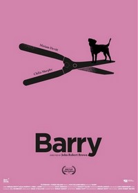 Barry (2020) - poster