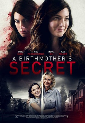 Birthmother's Betrayal (2020) - poster