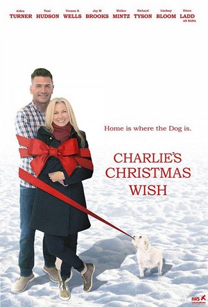 Charlie's Christmas Wish (2020) - poster