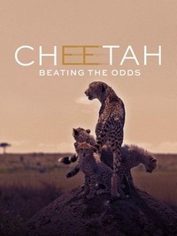 Cheetah: Beating the Odds (2020) - poster