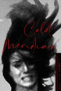 Cold Meridian (2020) - poster